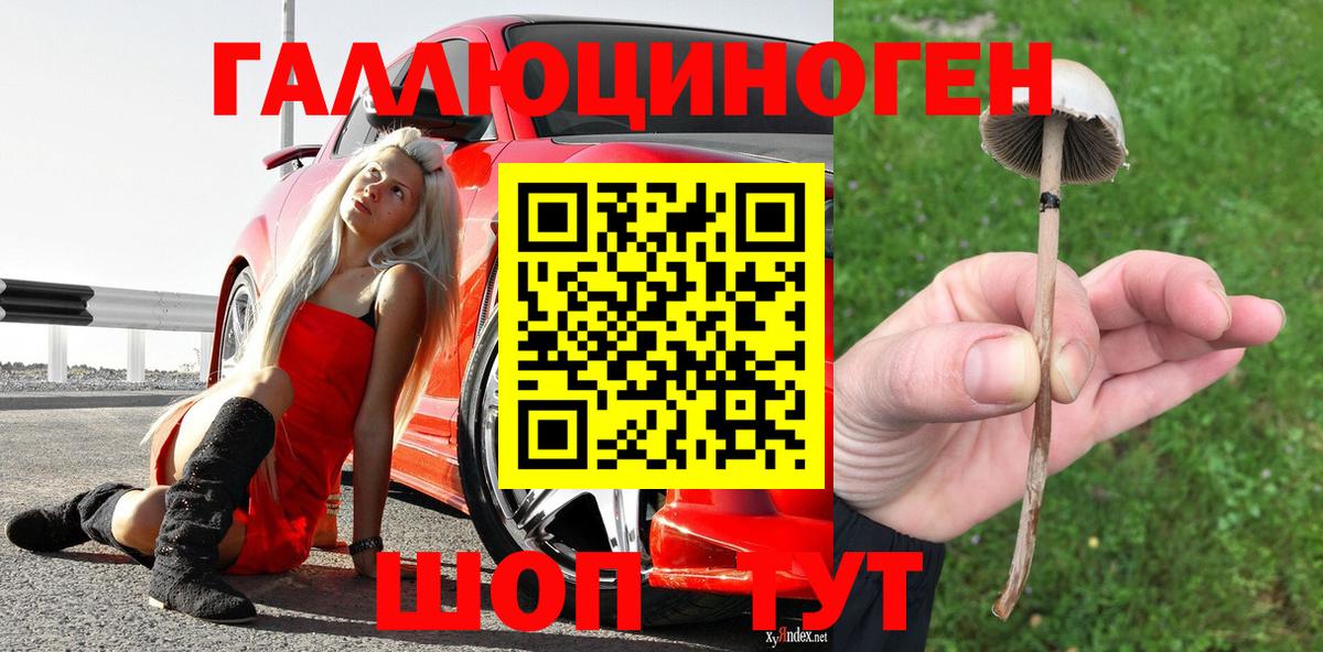 Галлюциногенные грибы прущие грибы  Псилоцибиновые грибы Psilocybe  Вход с VPN  Кингисепп 